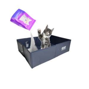 Kedi Kumu Kutusu