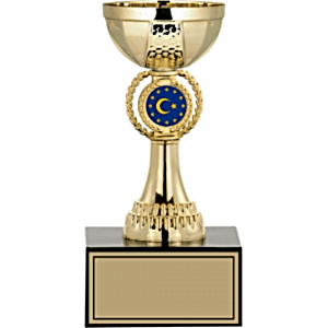 Ödül Kupası - 19 Cm
