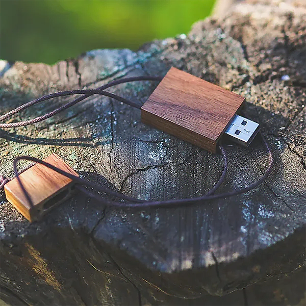 USB Bellekler